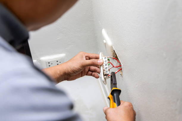 Best Ceiling Fan Installation Electrician  in Bemidji, MN